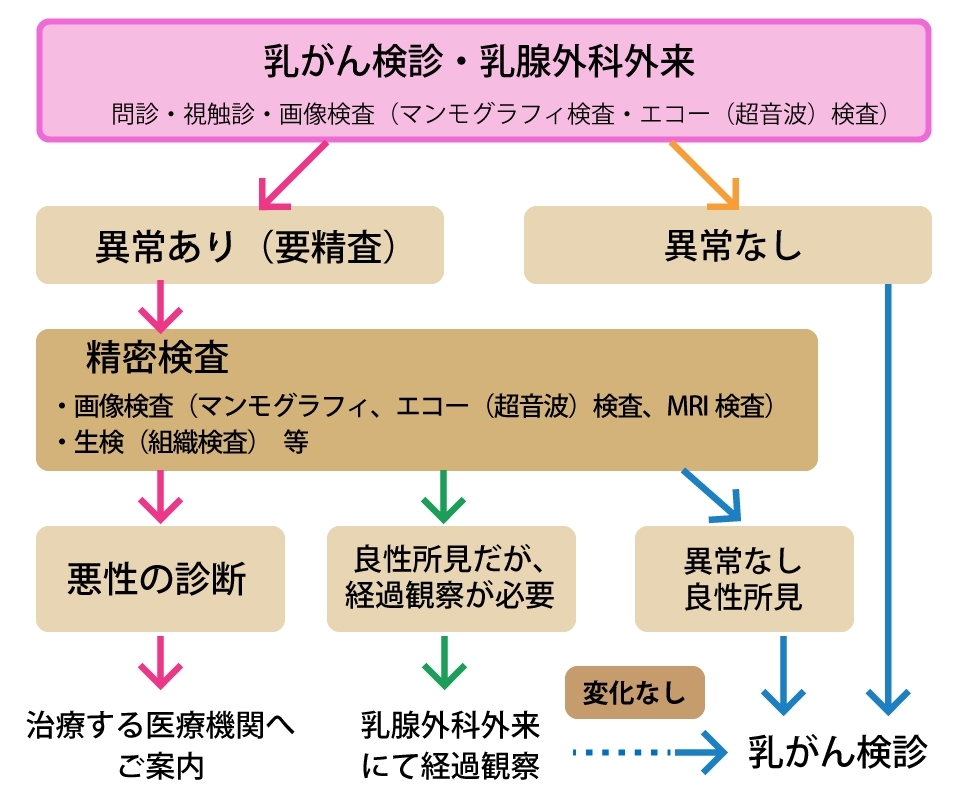 乳がん検診や乳腺外科外来での検査（視触診・マンモグラフィ検査・エコー（超音波検査）等）にて、経過観察で問題ないか、もしくは、より詳しい検査が必要かを検討します。経過観察の場合は、しばらくは外来にて定期的（3・6・12か月毎）な受診をご案内します。